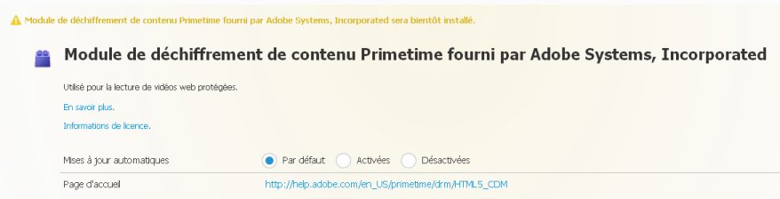 Adobe Primetime.jpg