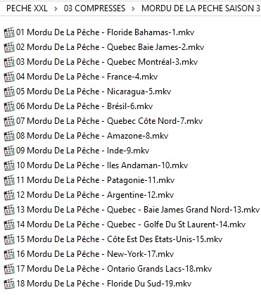 mordu.jpg